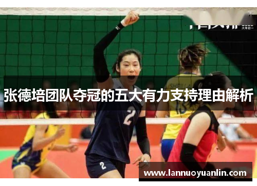 张德培团队夺冠的五大有力支持理由解析