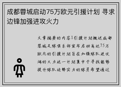 成都蓉城启动75万欧元引援计划 寻求边锋加强进攻火力 成都蓉城启动75万欧元引援计划 寻求边锋加强进攻火力