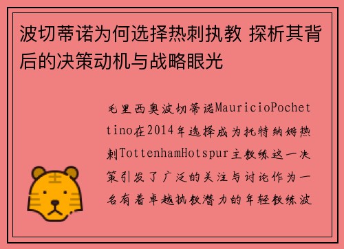 波切蒂诺为何选择热刺执教 探析其背后的决策动机与战略眼光 波切蒂诺为何选择热刺执教 探析其背后的决策动机与战略眼光