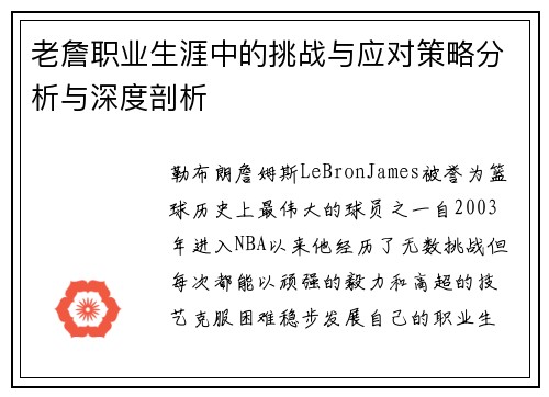 老詹职业生涯中的挑战与应对策略分析与深度剖析